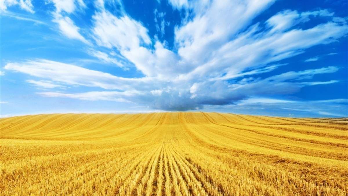 Днепропетровский областной совет призвал НАТО закрыть небо над Украиной