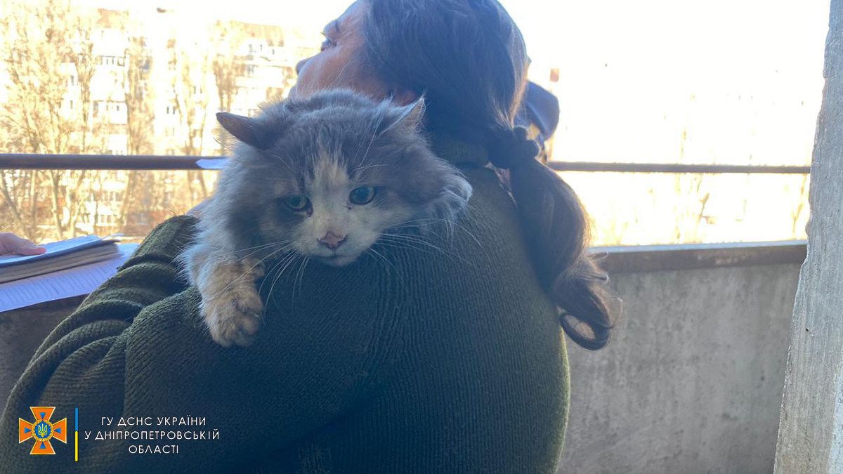 В Днепре в переулке Экипажном случился пожар: из горящей квартиры спасли котика