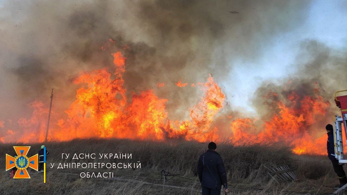 Умышленный поджог сухостоя или мусора приравняли к диверсии