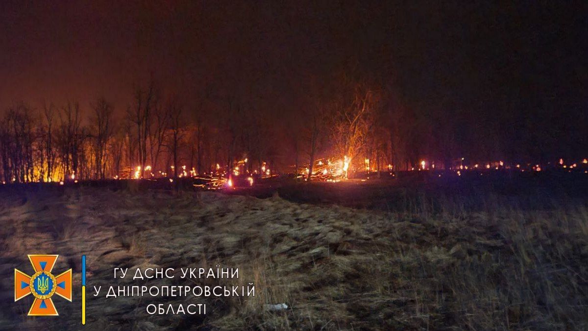 За сутки в Днепре и области сгорело 272 гектара сухостоя: отчет спасателей