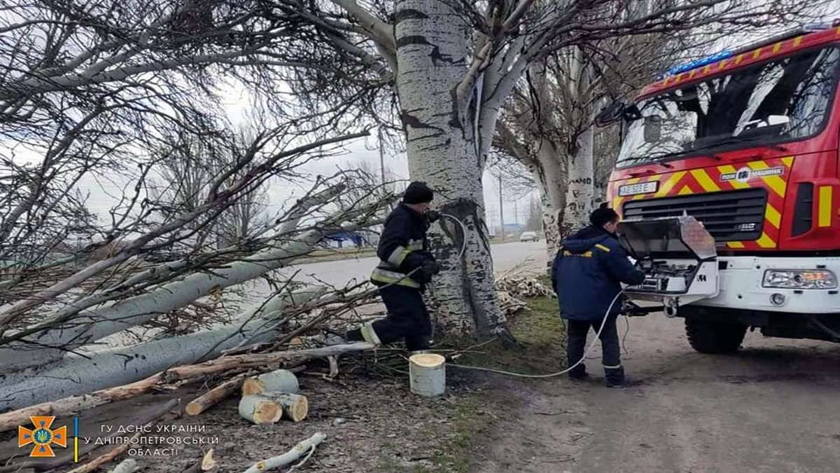В Днепропетровской области спасатели убирают поваленные деревья с автодорог
