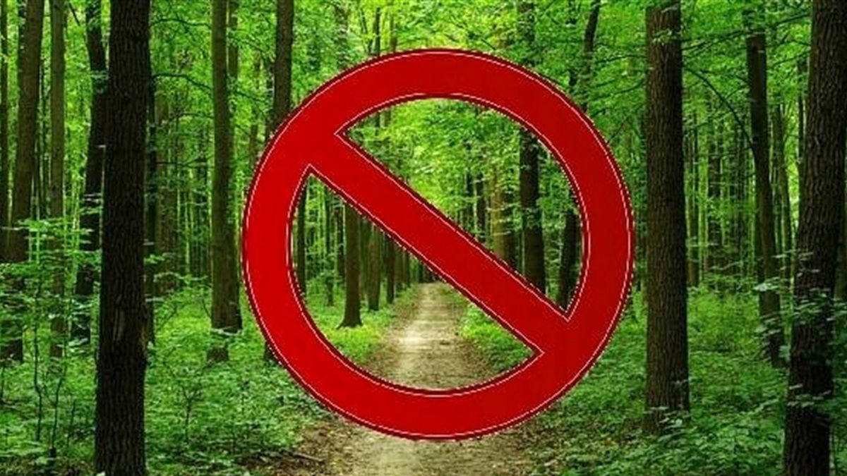 В Днепропетровской области запретили посещать леса