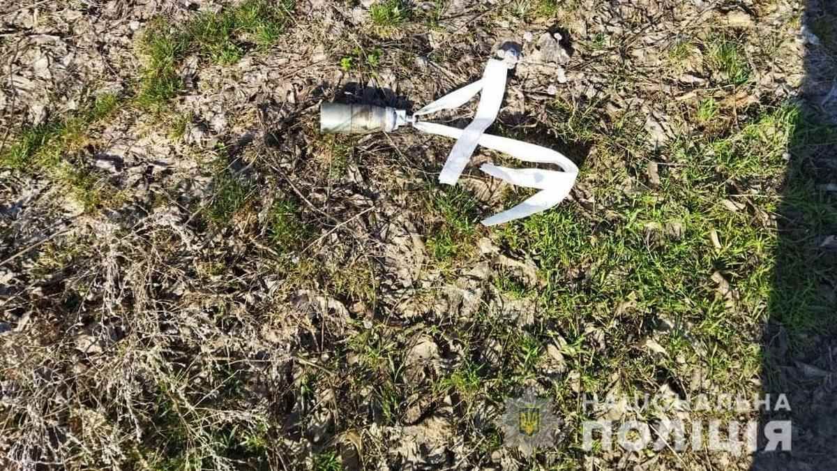 В Днепропетровской области женщина подорвалась на кассетном боеприпасе: подробности от полиции