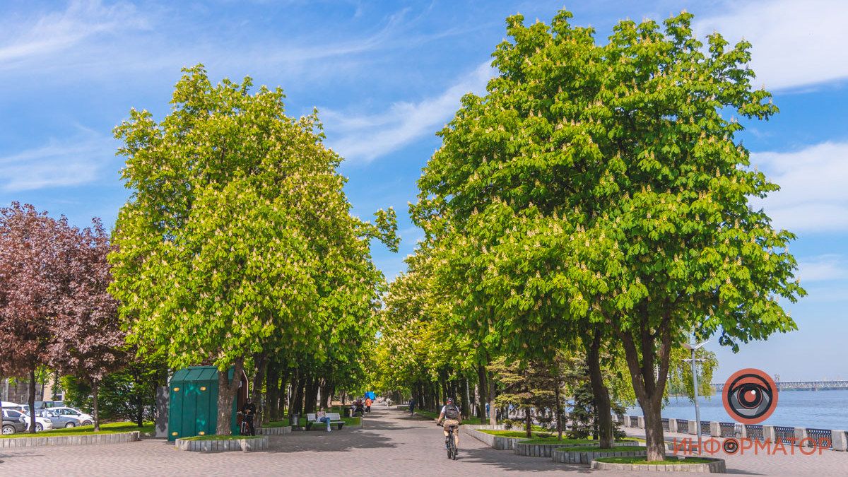 Погода на 1 мая: в Днепре будет ясно утром и облачно днем