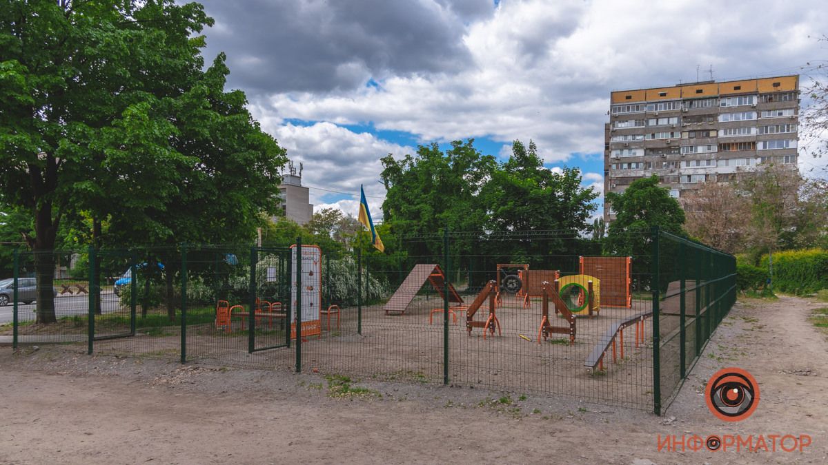 В Днепре на Калиновой в кустах нашли противопехотную мину