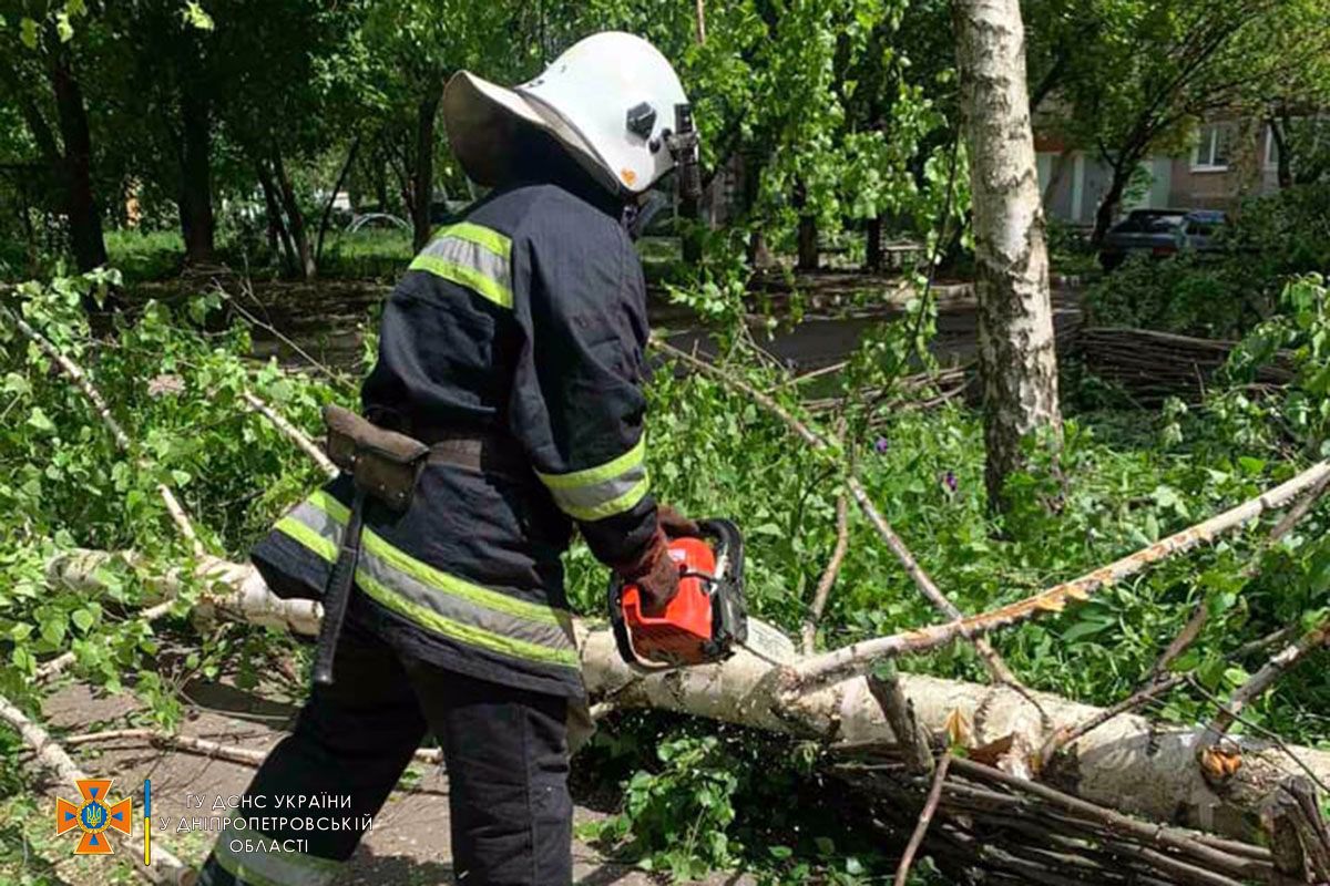 В Желтых Водах упало дерево и заблокировало проход в подъезд