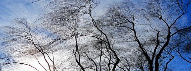Погода 15 февраля: в Днепре будет пасмурно и ветрено