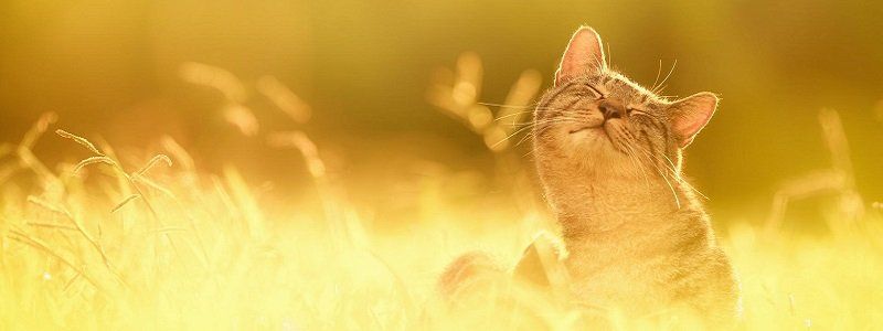 Погода на 24 февраля: в Днепре будет тепло и солнечно