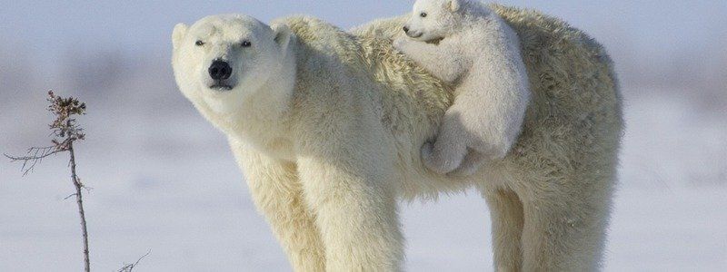 27 февраля: какой сегодня праздник