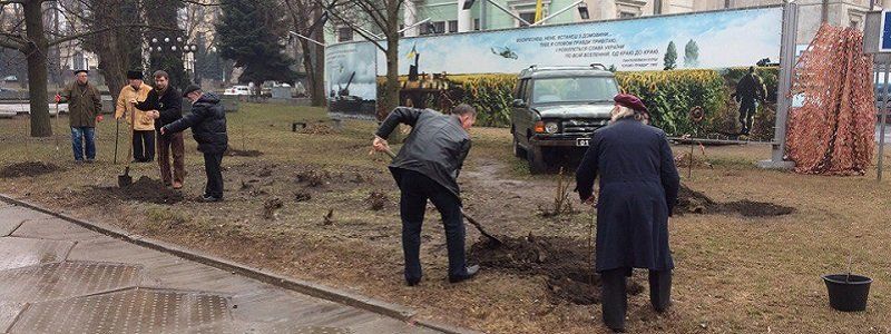 В Днепре высадили вишневую аллею в память о погибших бойцах АТО