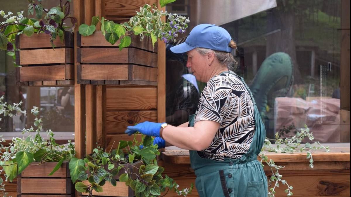 В парке Зеленый гай высадили 128 кустов разноцветных цветов