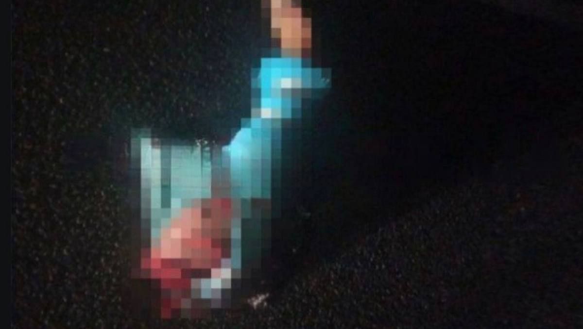 В Новомосковском районе на трассе нашли человеческую ногу