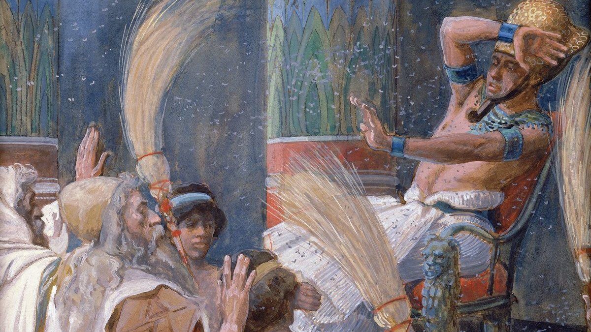 Третья казнь египетская: как мошки атаковали набережную Днепра