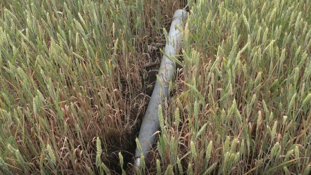 Уничтожены склады с зерном и сельхозтехникой: как живет после обстрелов войск рф фермерское хозяйство в Днепропетровской области