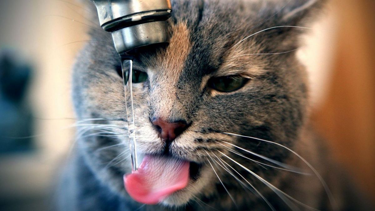 В Днепре во вторник на одной из улиц не будет воды