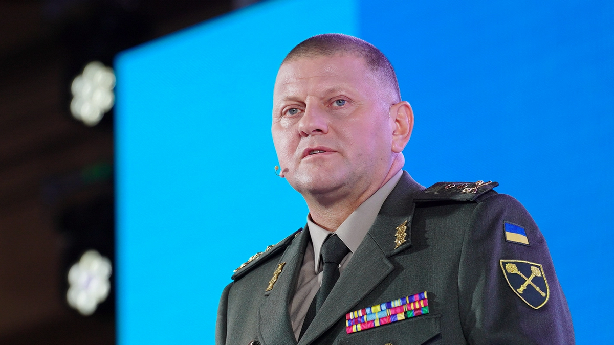 Можно ли мужчинам будет покидать место жительства без разрешения: ответ Валерия Залужного