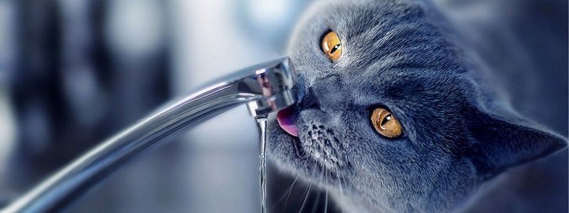Узнай первым: где в Днепре завтра отключат воду