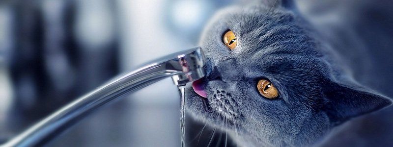 Завтра в Днепре отключат воду: найди свой адрес