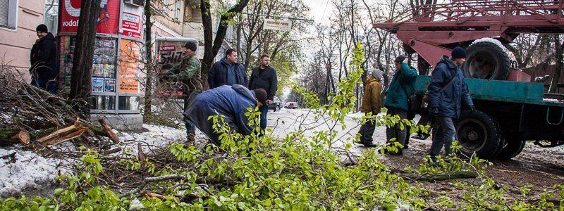 Точная статистика о проведенной работе по устранению последствий снегопада в Днепре