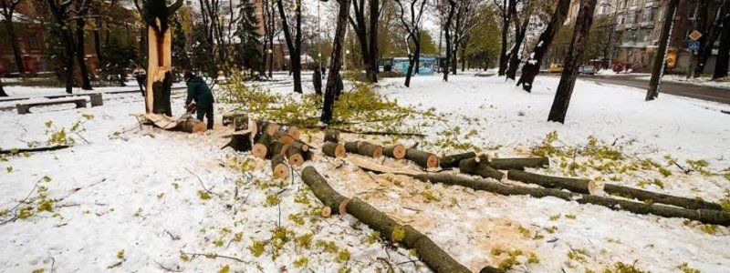Получи ответ: что успели сделать с последствиями непогоды в Днепре