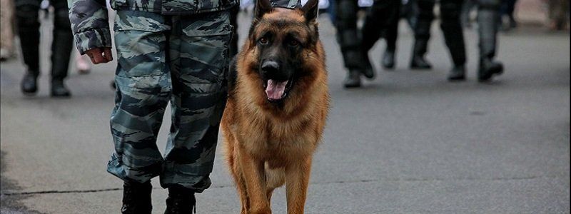 Порядок в Днепре будут охранять тысячи полицейских, курсанты, военные и кинологи