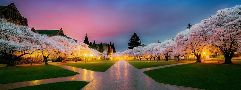 25 мая в Днепре: куда пойти сегодня