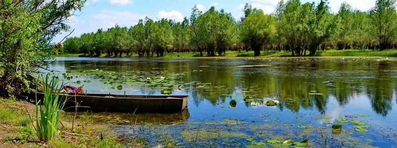 В Днепре нашли расчлененное тело женщины: полиция просит помощи