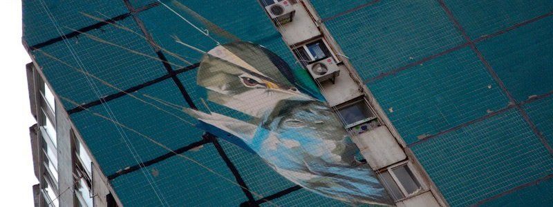 Строгий взгляд и яркие перья: огромная птица украсила высотку на ж/м Парус