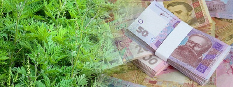 Идея для стартапа: как в Днепре заработать на амброзии