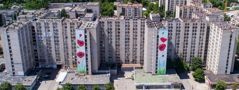 На одной из многоэтажек Днепра расцвели маки: на Победе появился новый мурал