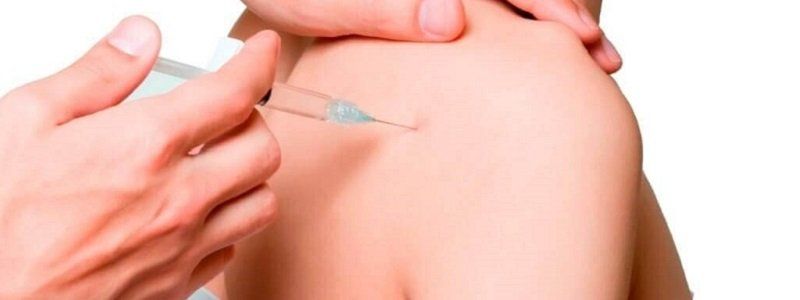 В Днепре участились случаи болезни Лайма: что это такое и как защитить себя