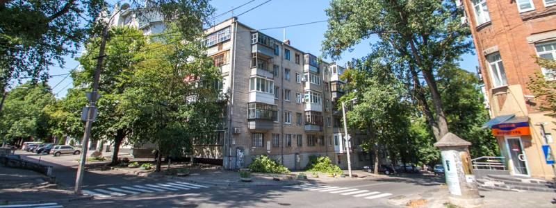 Стало известно, кто и зачем пилит деревья в центре Днепра