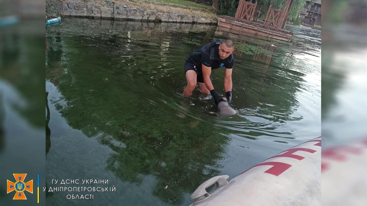 В Днепре водолазы достали из реки тело 51-летнего мужчины