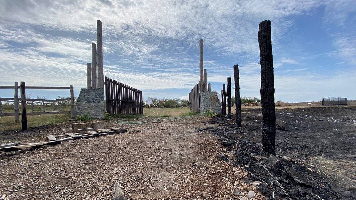 У Дніпропетровській області через ворожу ракету постраждала ферма з тваринами: потрібна допомога