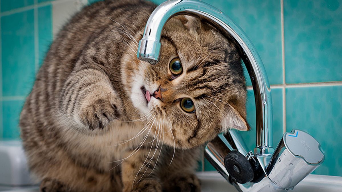 У Дніпрі мешканці кількох будинків залишились без води: адреси