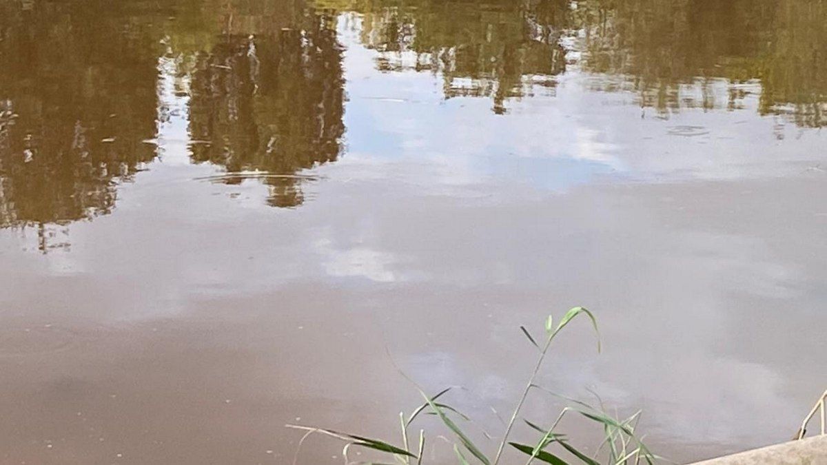 У річці Інгулець у Кривому Розі вода стала червоною: чому так трапилось