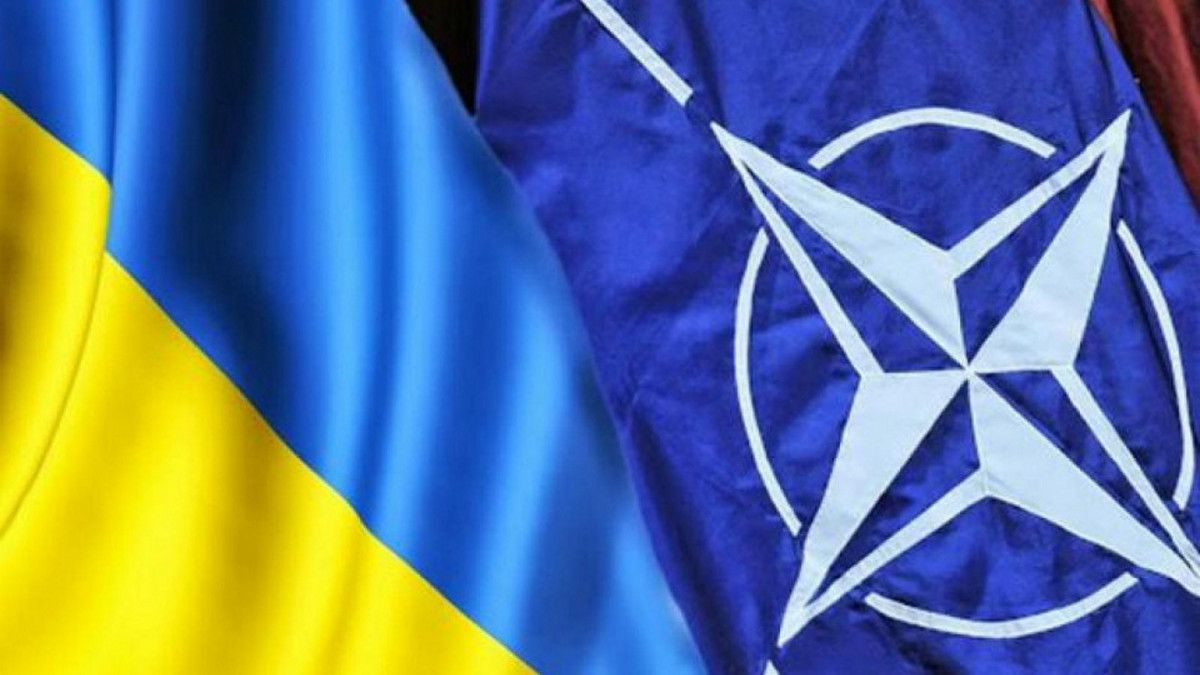Заявка на вступ до НАТО, візит американського професора до Дніпра та спортивні досягнення: топ гарних новин тижня