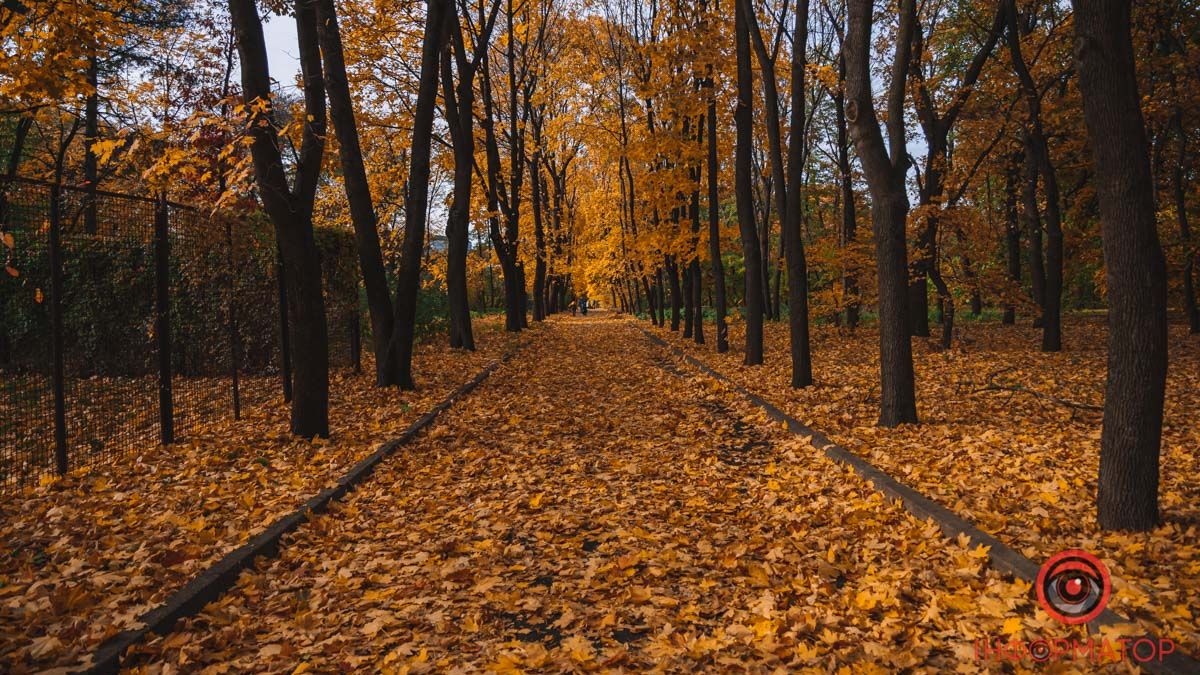 Чарівна осінь у Дніпрі: прогулянка ботанічним садом