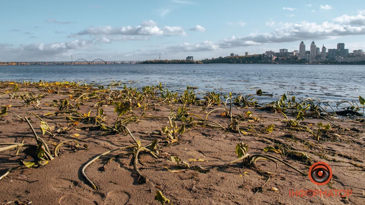 Снизился уровень воды в Днепре: что произошло с рекой