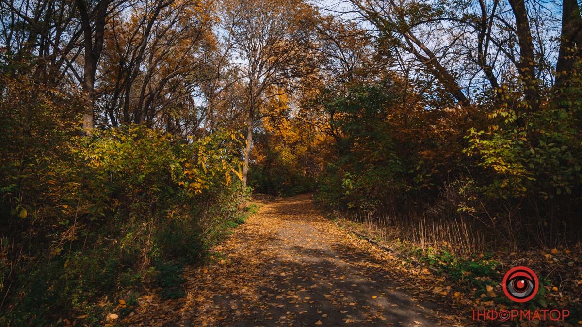 В Днепре облачно, без осадков: погода на 25 октября