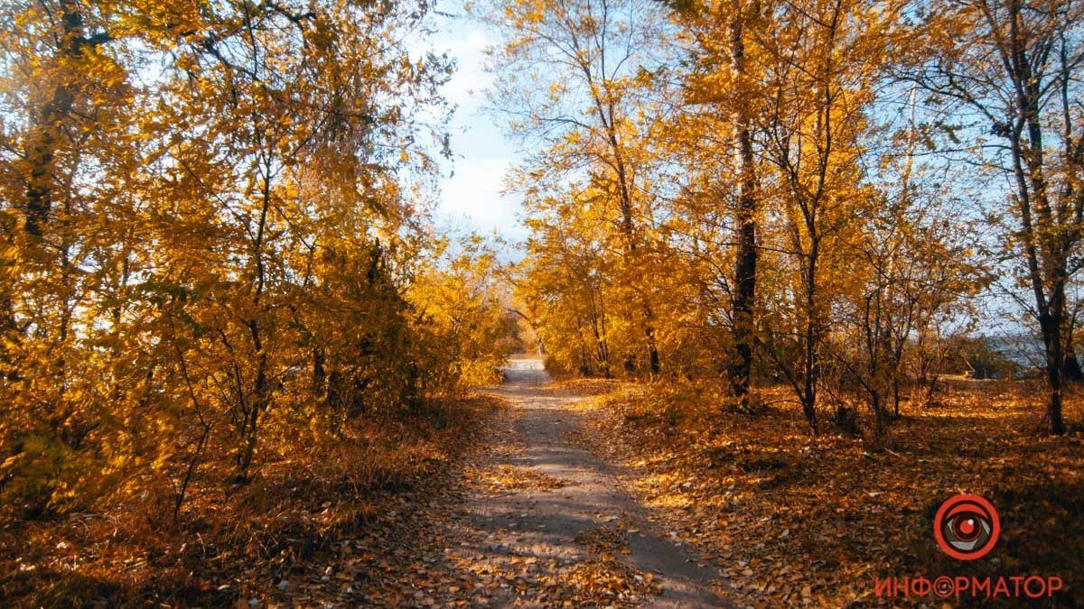 У Дніпрі цілий день буде ясно: погода на 1 листопада