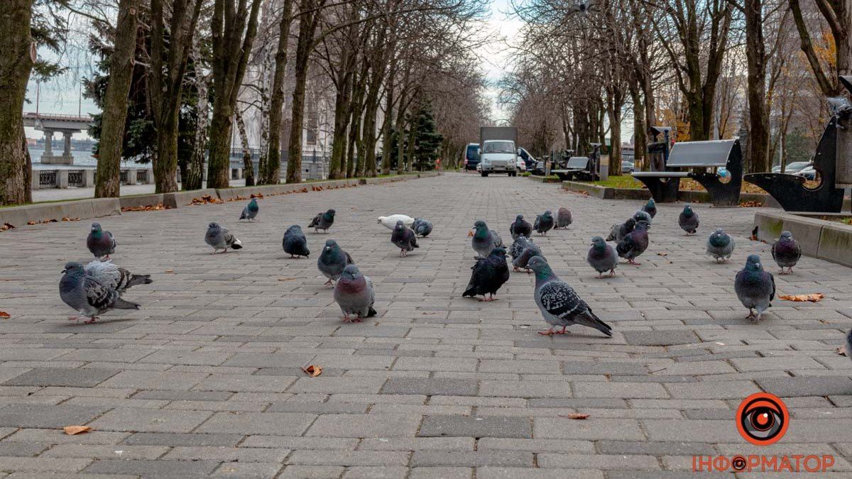 У Дніпрі буде хмарно та без опадів: погода на 3 грудня