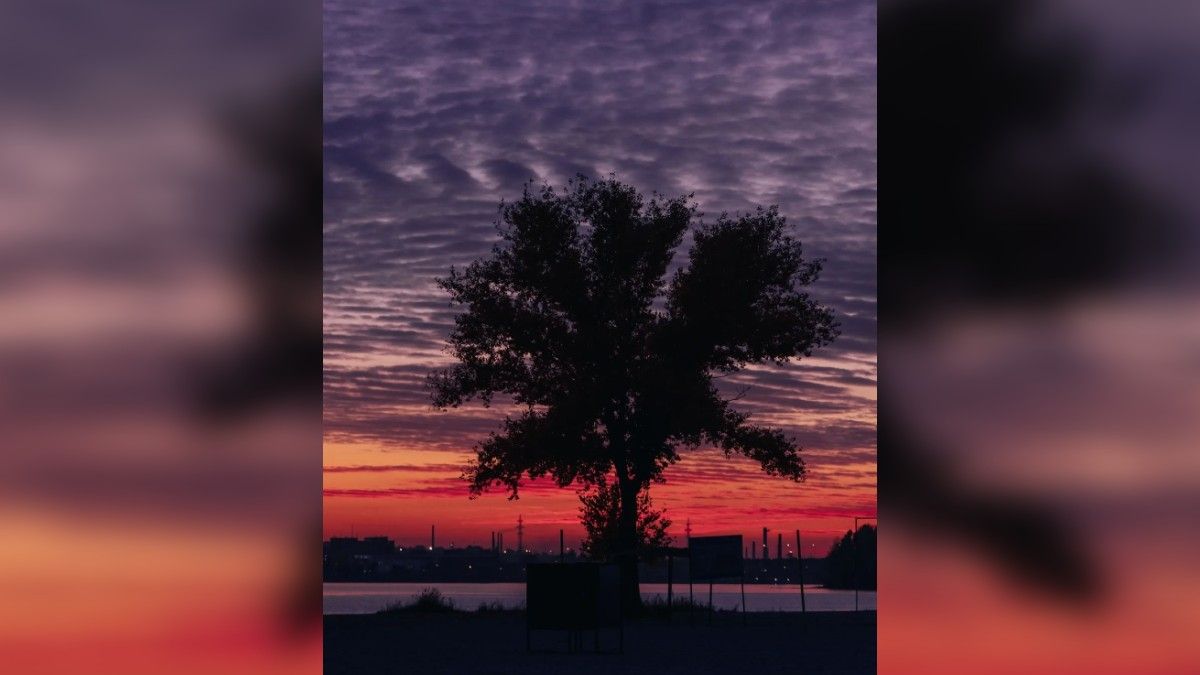 Если бы у Днепра был Instagram: топ фотографий первых дней зимы