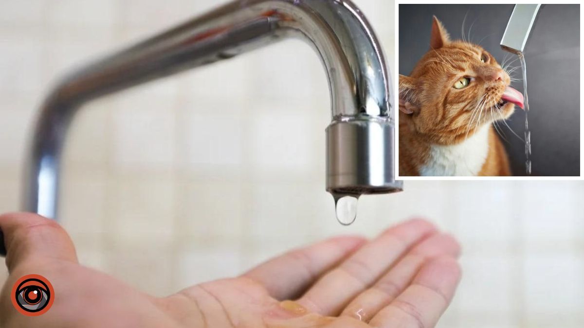 Сделайте запас: в Днепре несколько улиц остались без воды