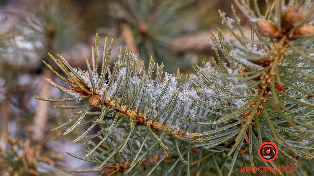 Погода на 26 декабря: в Днепре ожидается снег с дождем