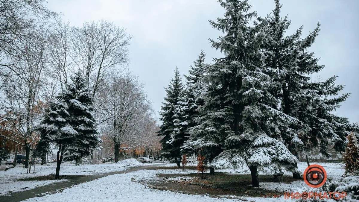 Погода на 15 січня: у Дніпрі очікується дрібний сніг