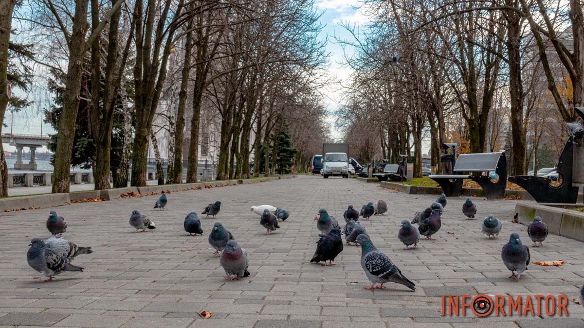 У Дніпрі у понеділок цілий день буде хмарно: погода на 16 січня