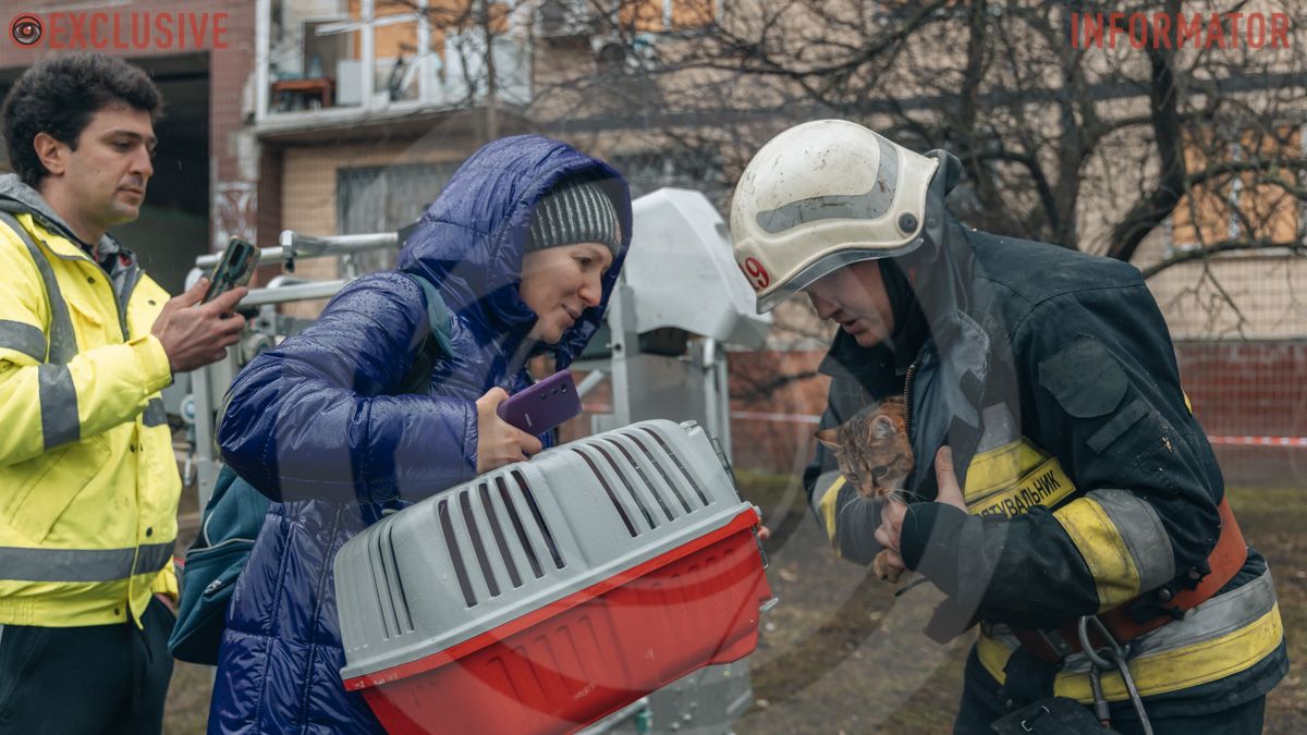 У Дніпрі у зруйнованому будинку врятували кота