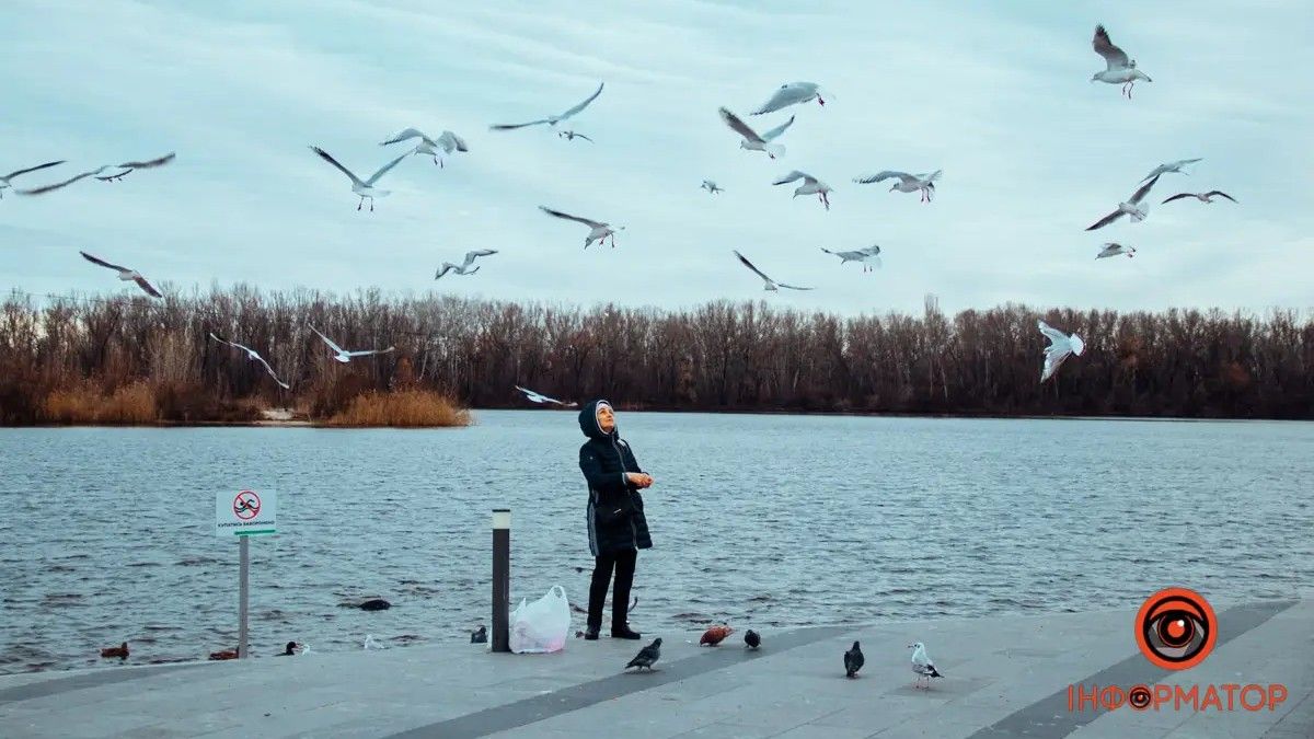 Погода на 19 січня: у Дніпрі буде хмарно