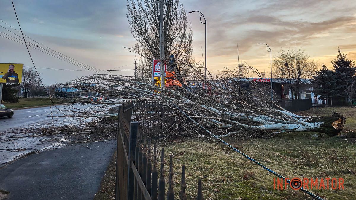 У Дніпрі на Набережній Заводській впало дерево: перекрили дві смуги